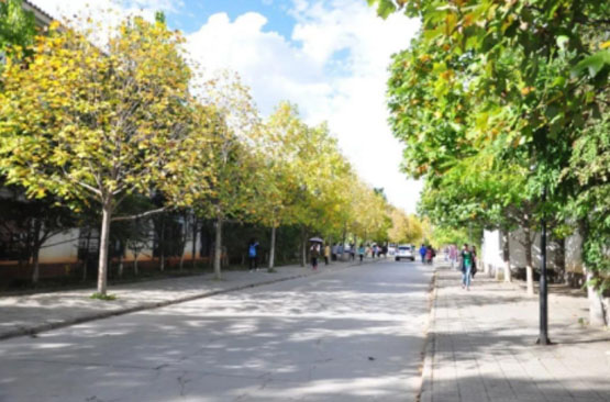 公園，學校IP網絡廣播系統搭建圖